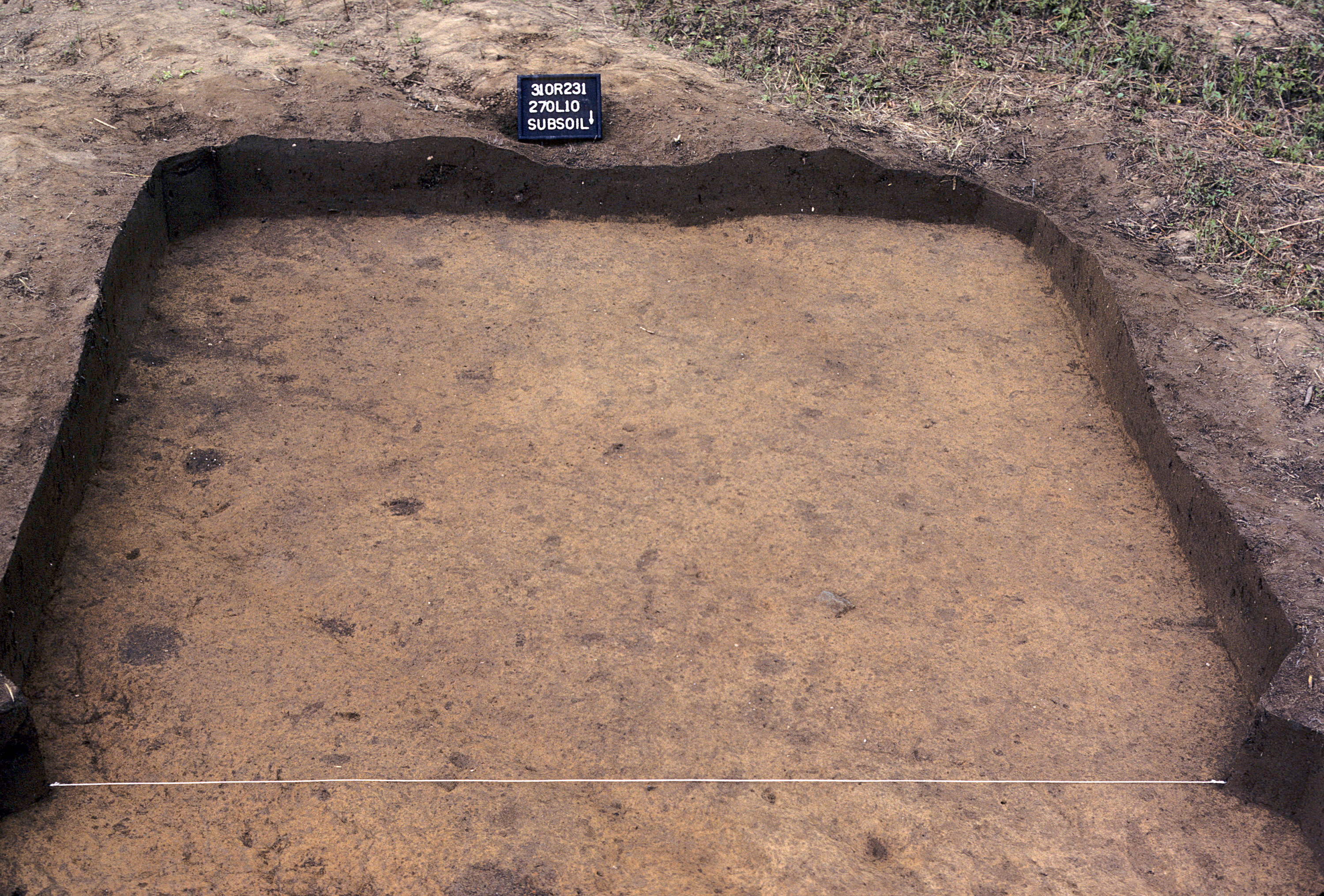 Figure 919. Sq. 270L10 at top of subsoil (view to south).