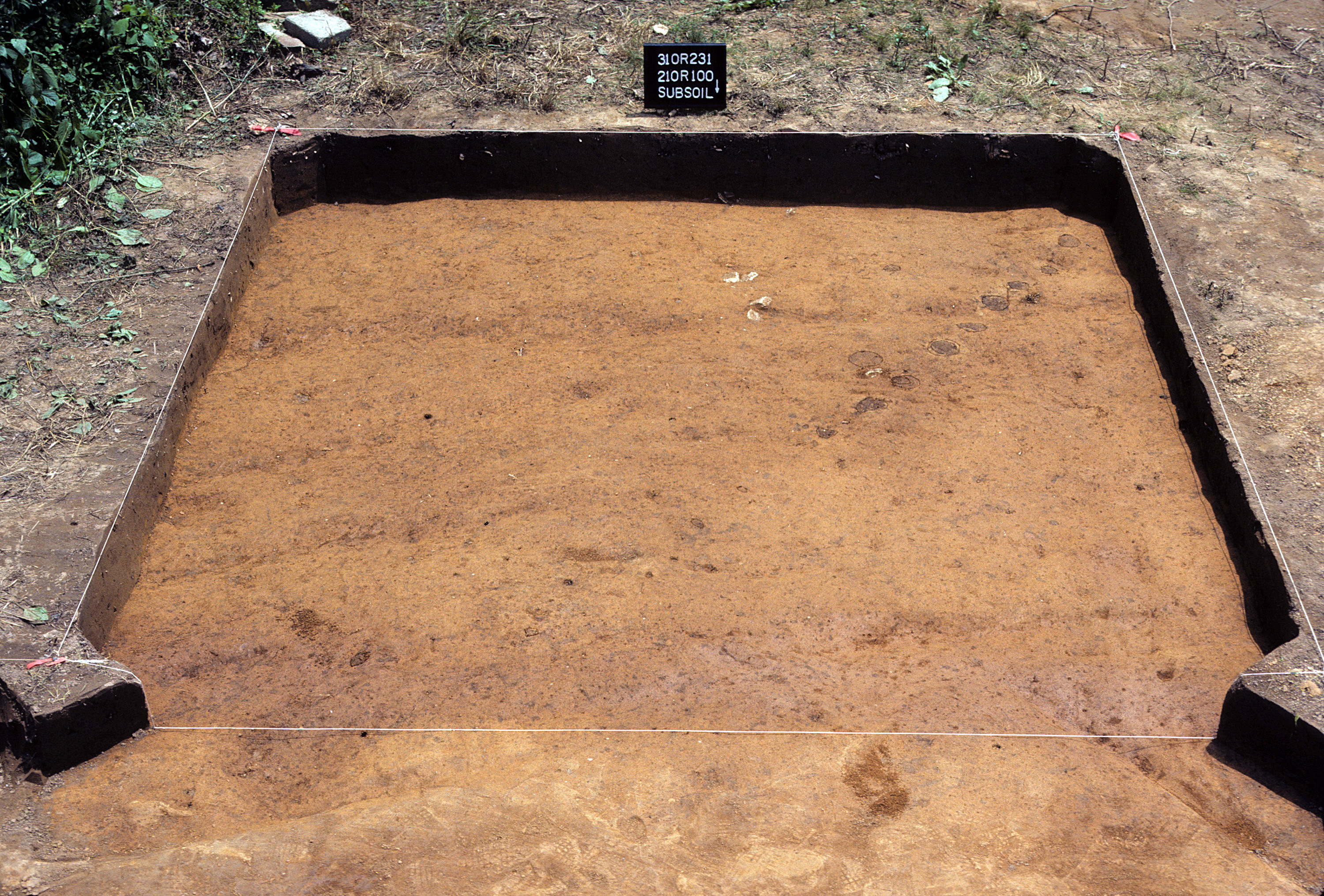 Figure 772. Sq. 210R100 at top of subsoil (view to south).
