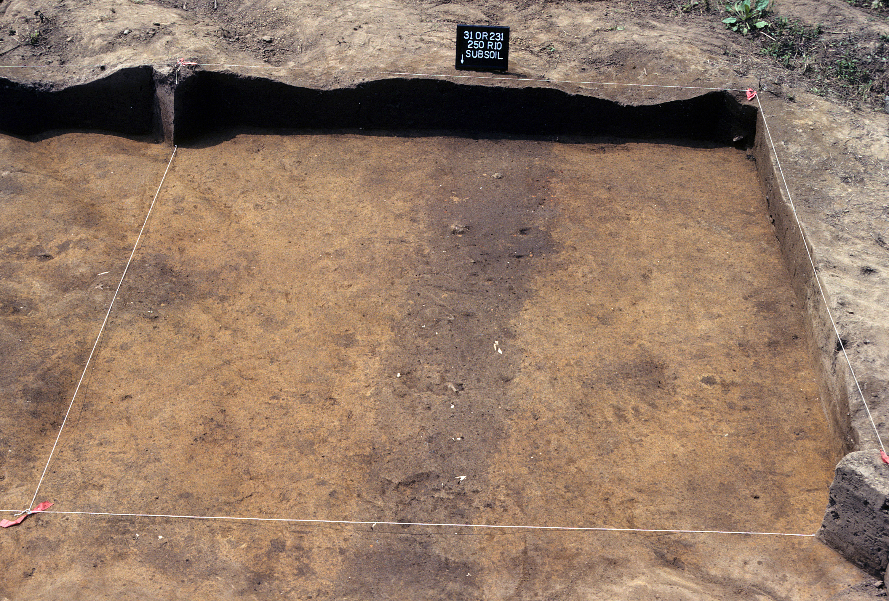 Figure 871. Sq. 250R10 at top of subsoil (view to south).