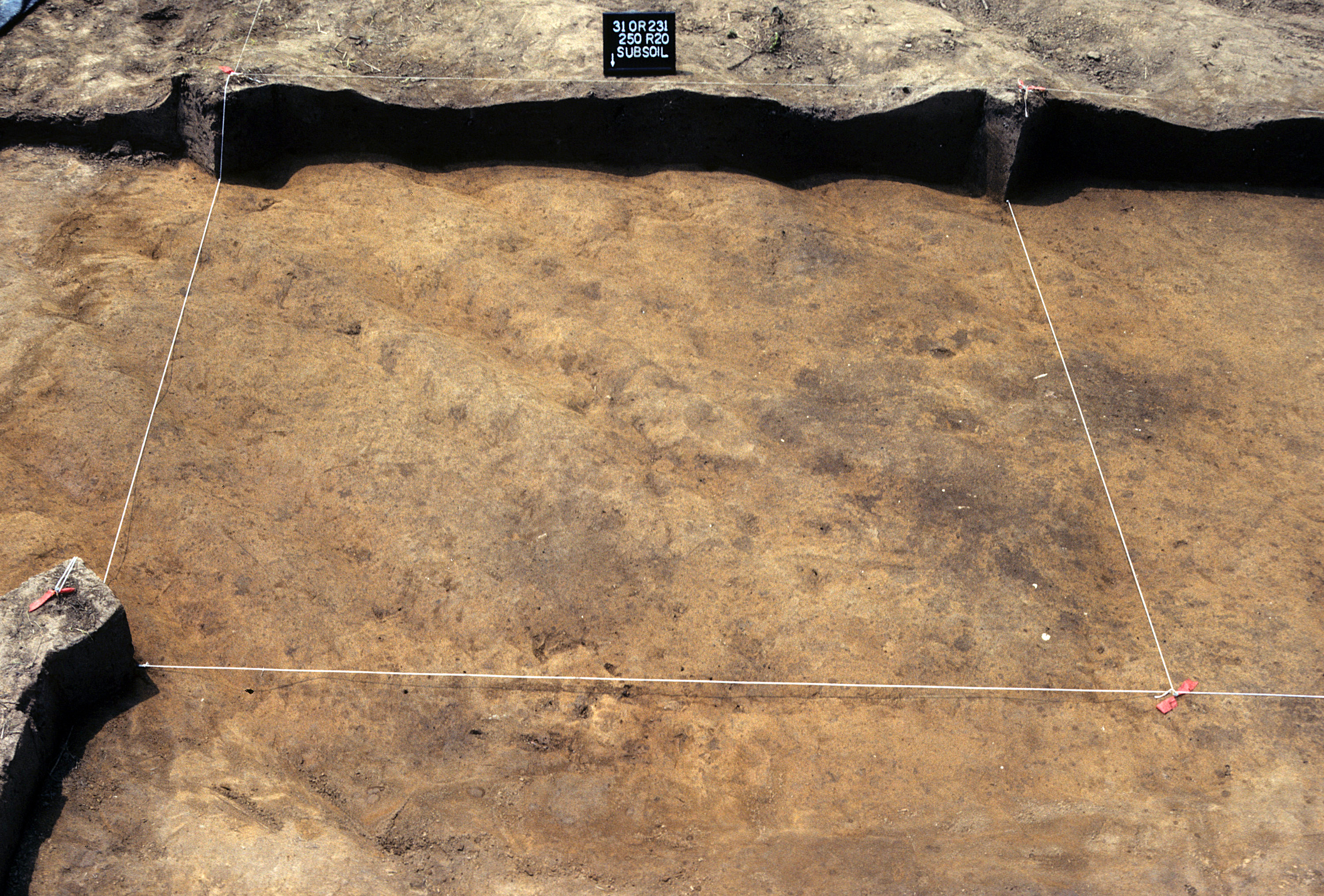 Figure 877. Sq. 250R20 at top of subsoil (view to south).