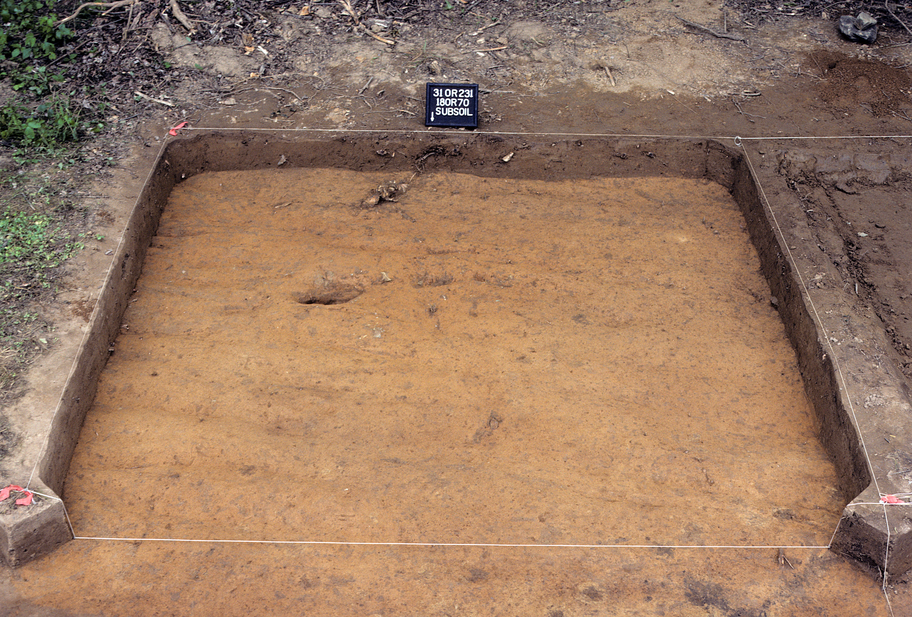 Figure 724. Sq. 180R70 at top of subsoil (view to south).