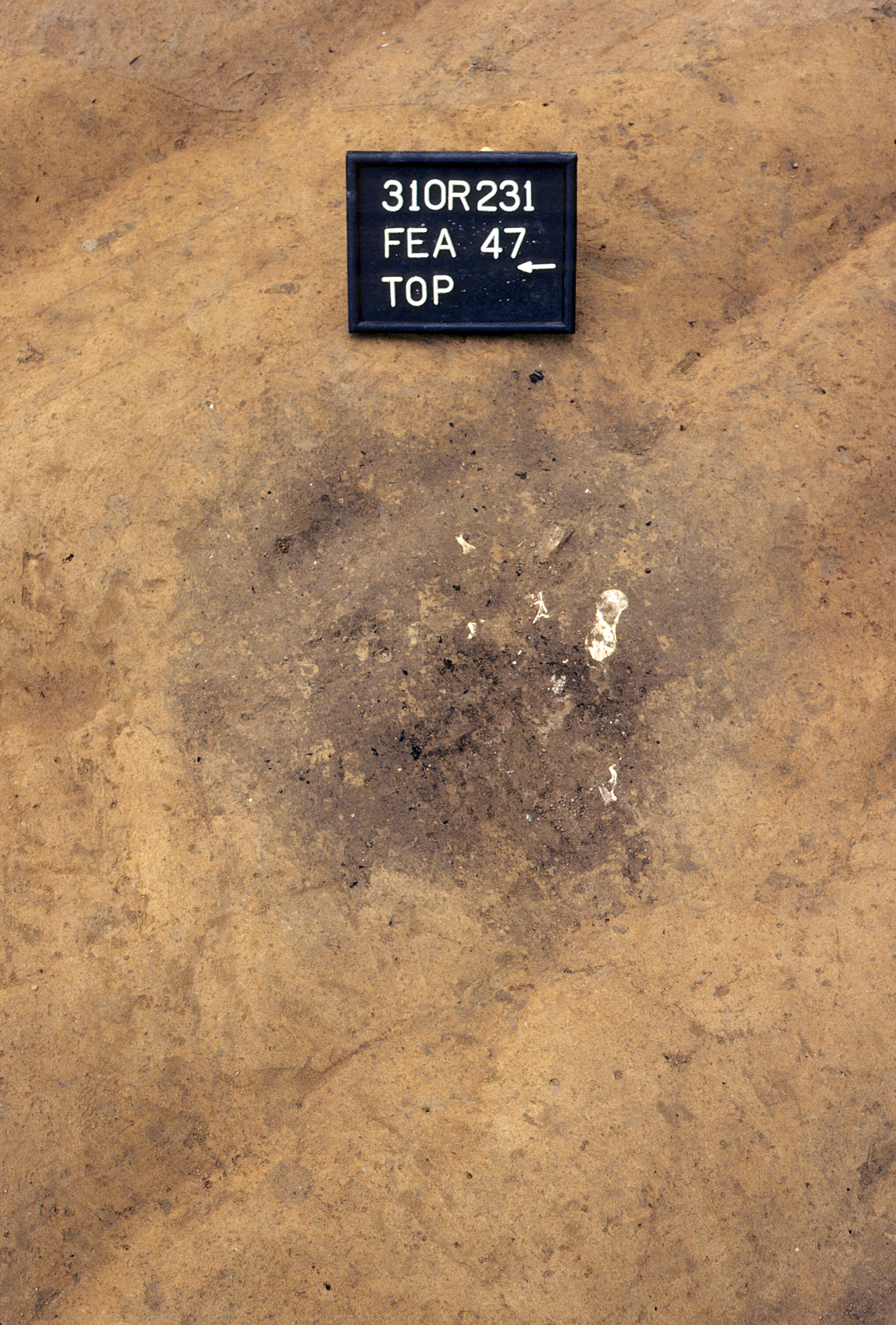 Figure 653. Feature 47 before excavation (view to east).
