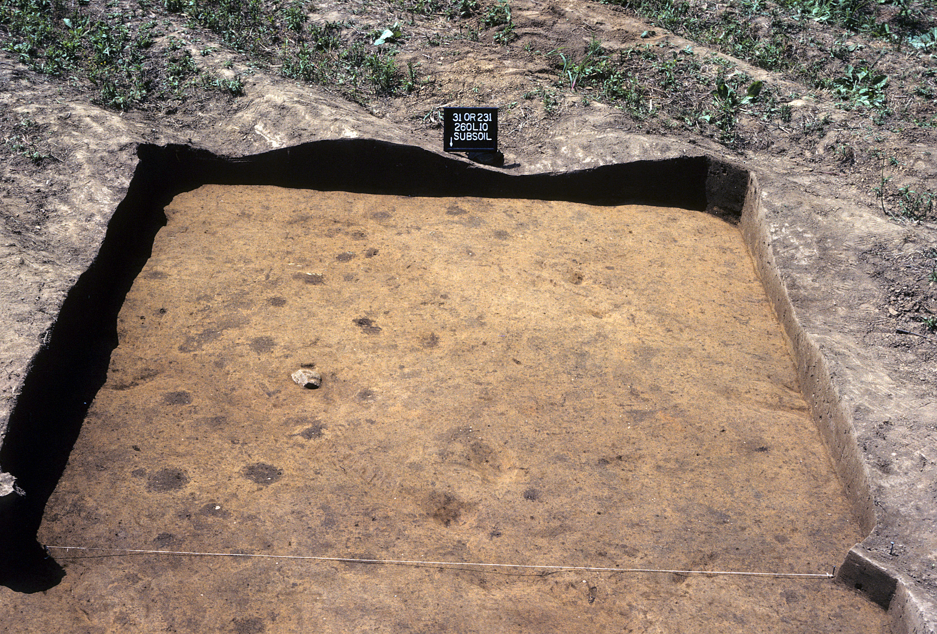 Figure 893. Sq. 260L10 at top of subsoil (view to south).
