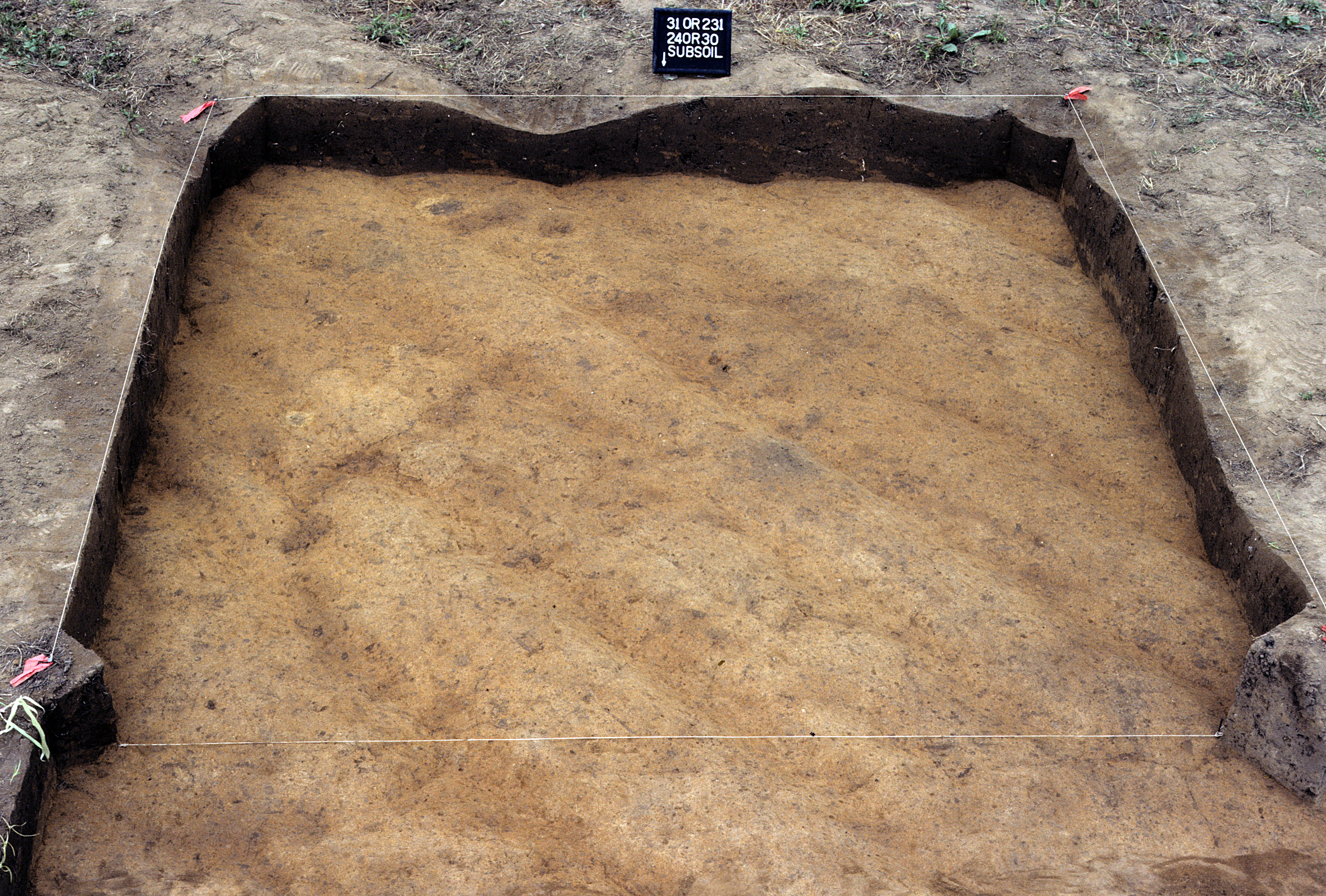 Figure 853. Sq. 240R30 at top of subsoil (view to south).