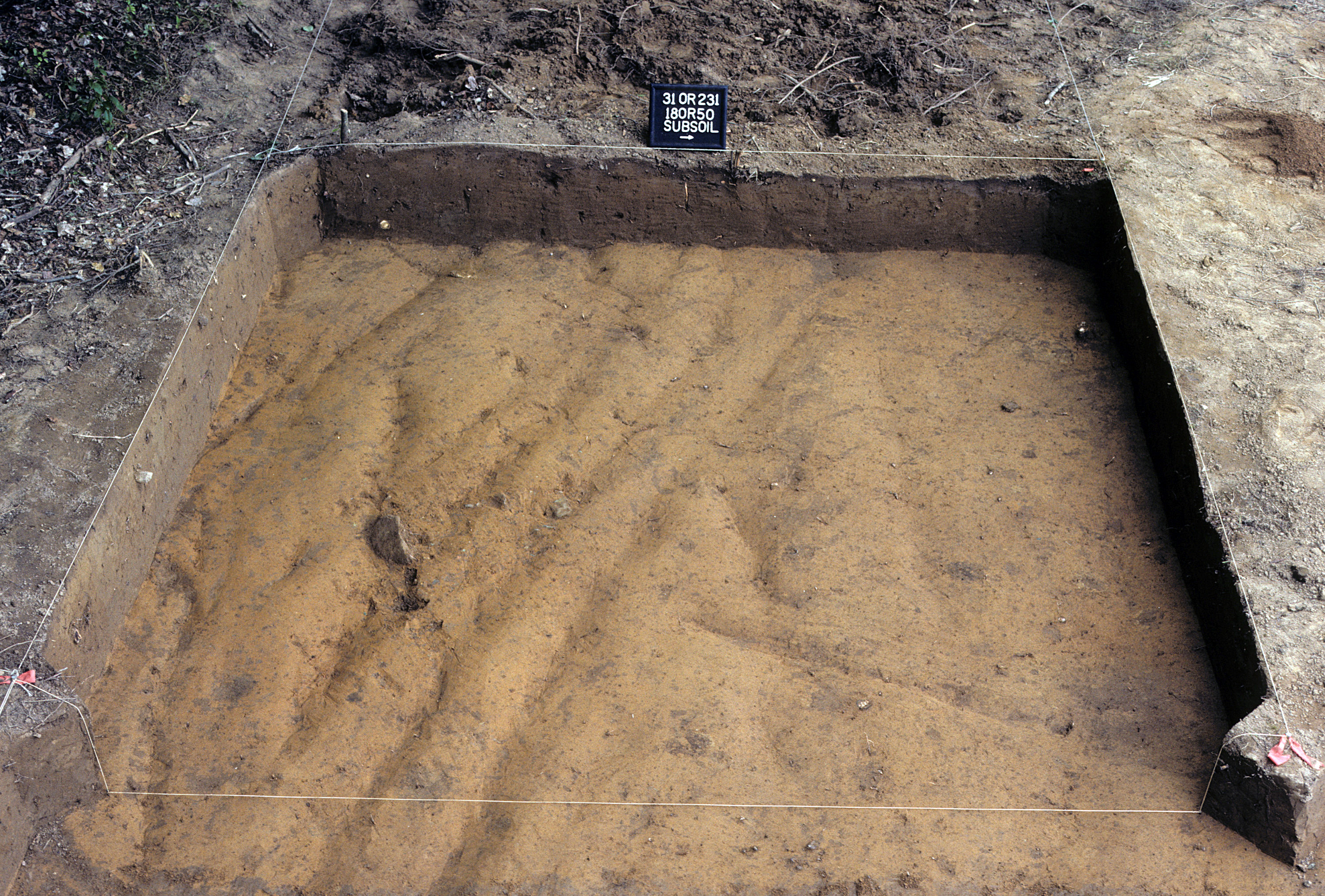 Figure 720. Sq. 180R50 at top of subsoil (view to west).