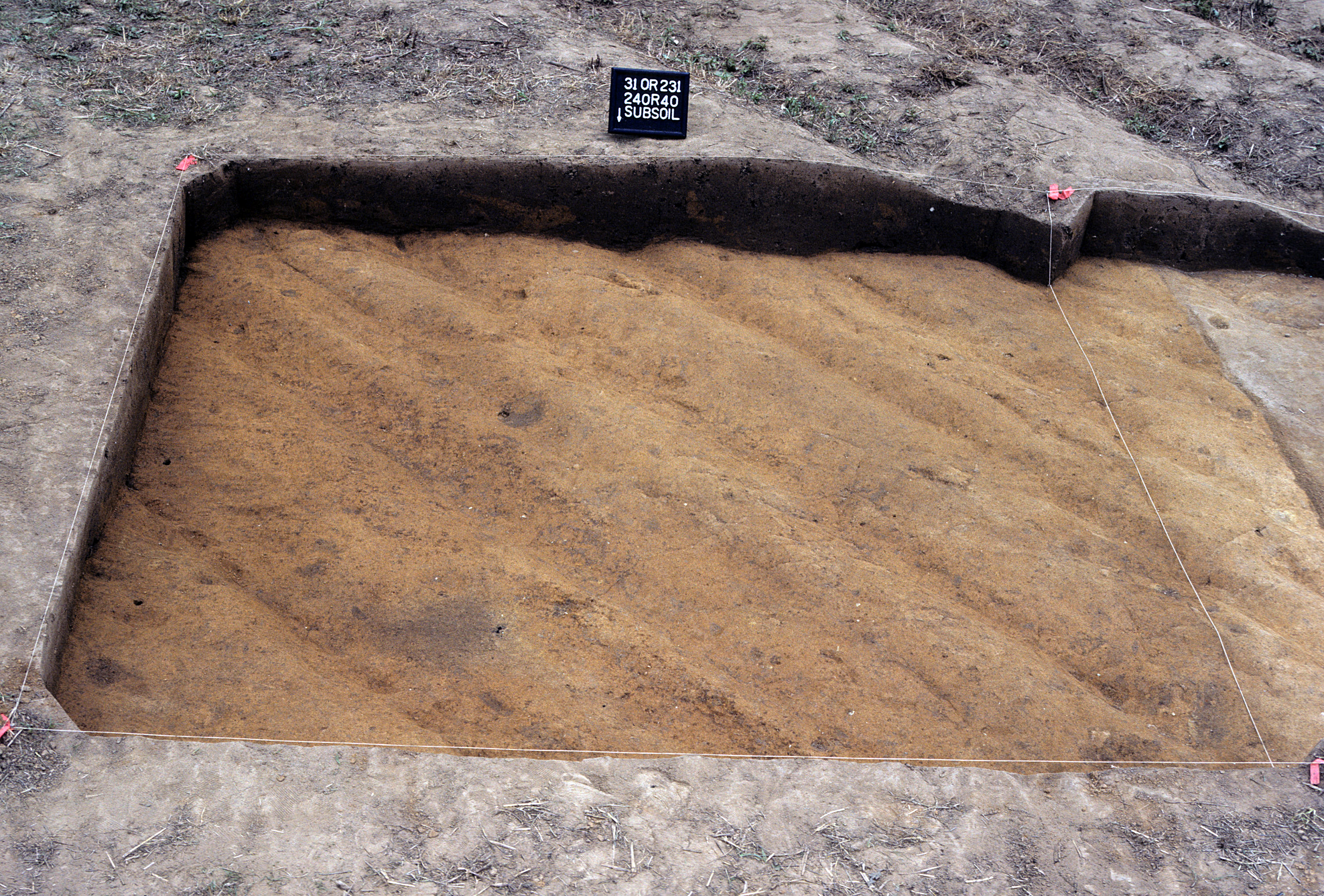 Figure 855. Sq. 240R40 at top of subsoil (view to south).