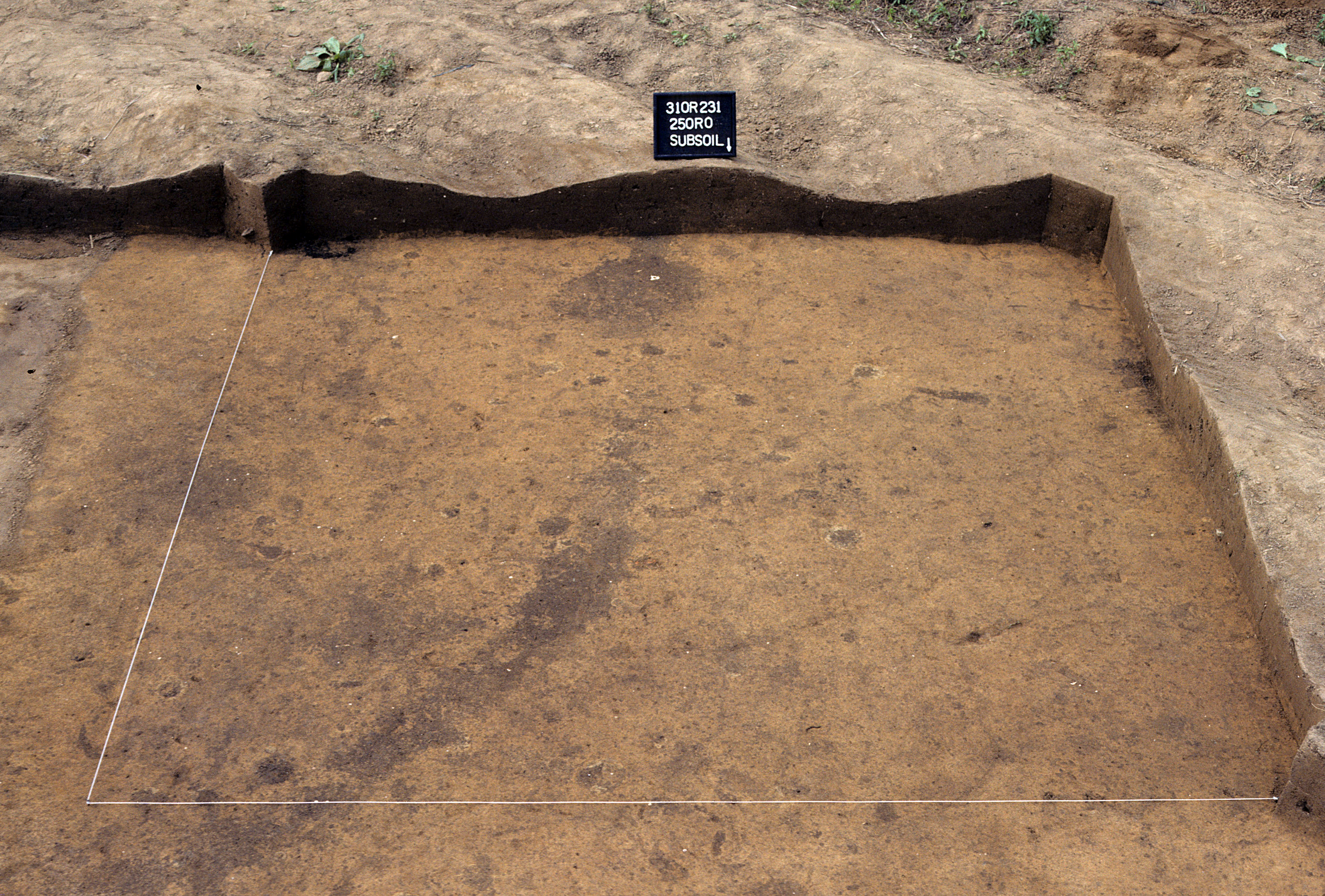 Figure 869. Sq. 250R0 at top of subsoil (view to south).