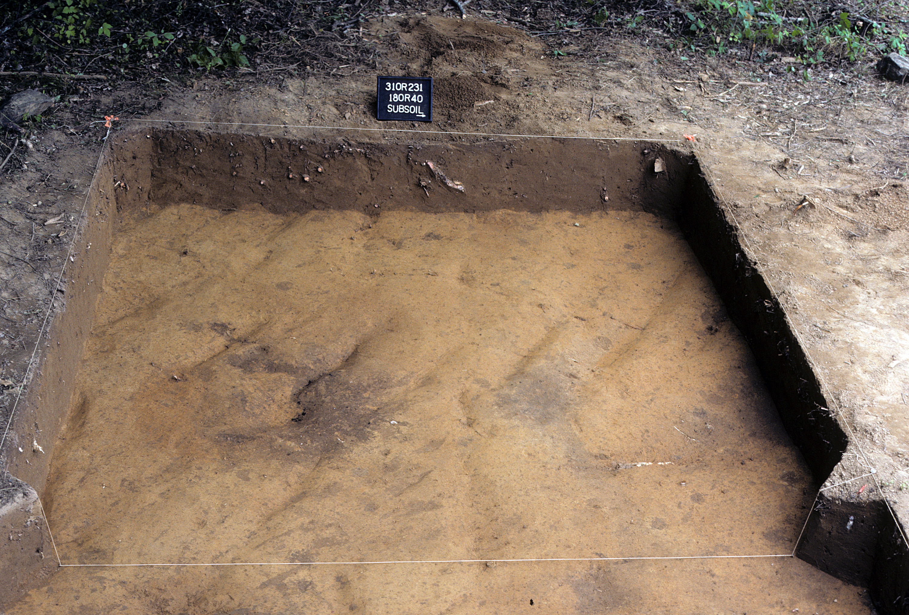 Figure 718. Sq. 180R40 at top of subsoil (view to west).