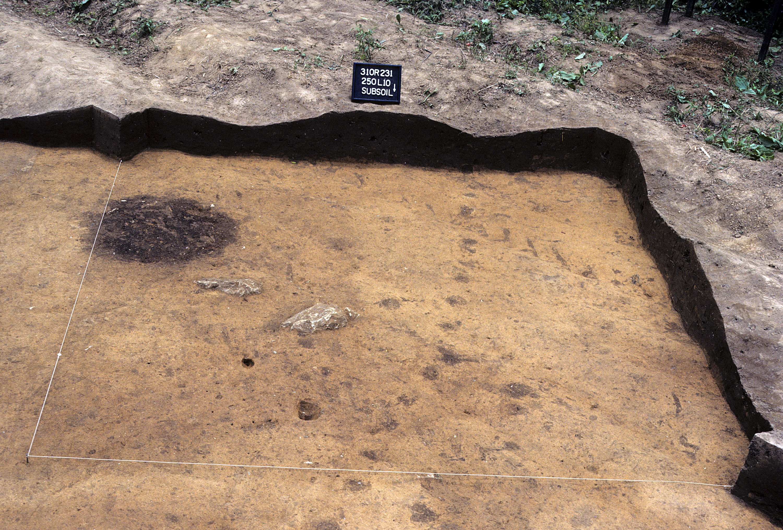Figure 867. Sq. 250L10 at top of subsoil (view to south).