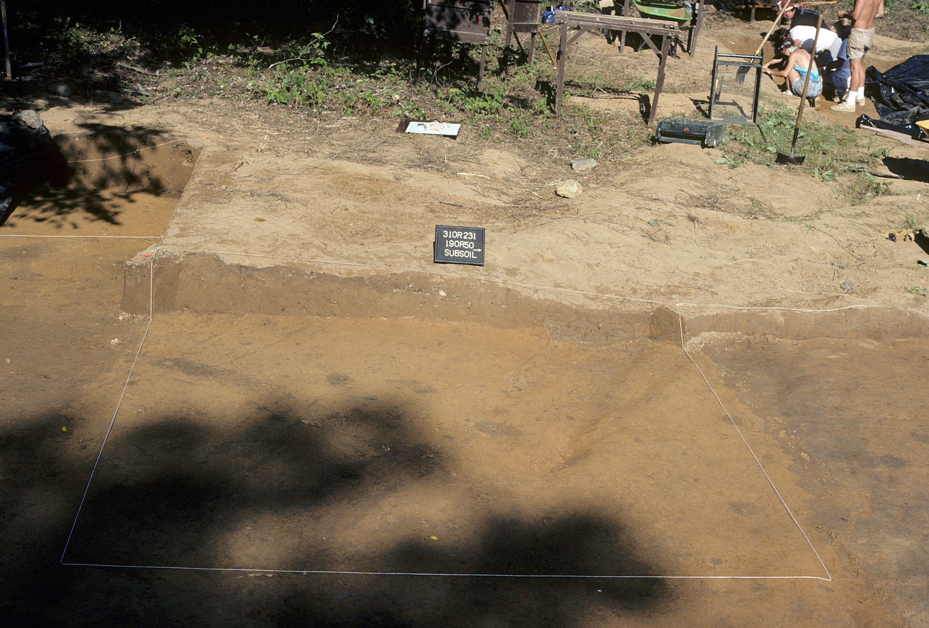 Figure 734. Sq. 190R50 at top of subsoil (view to west).