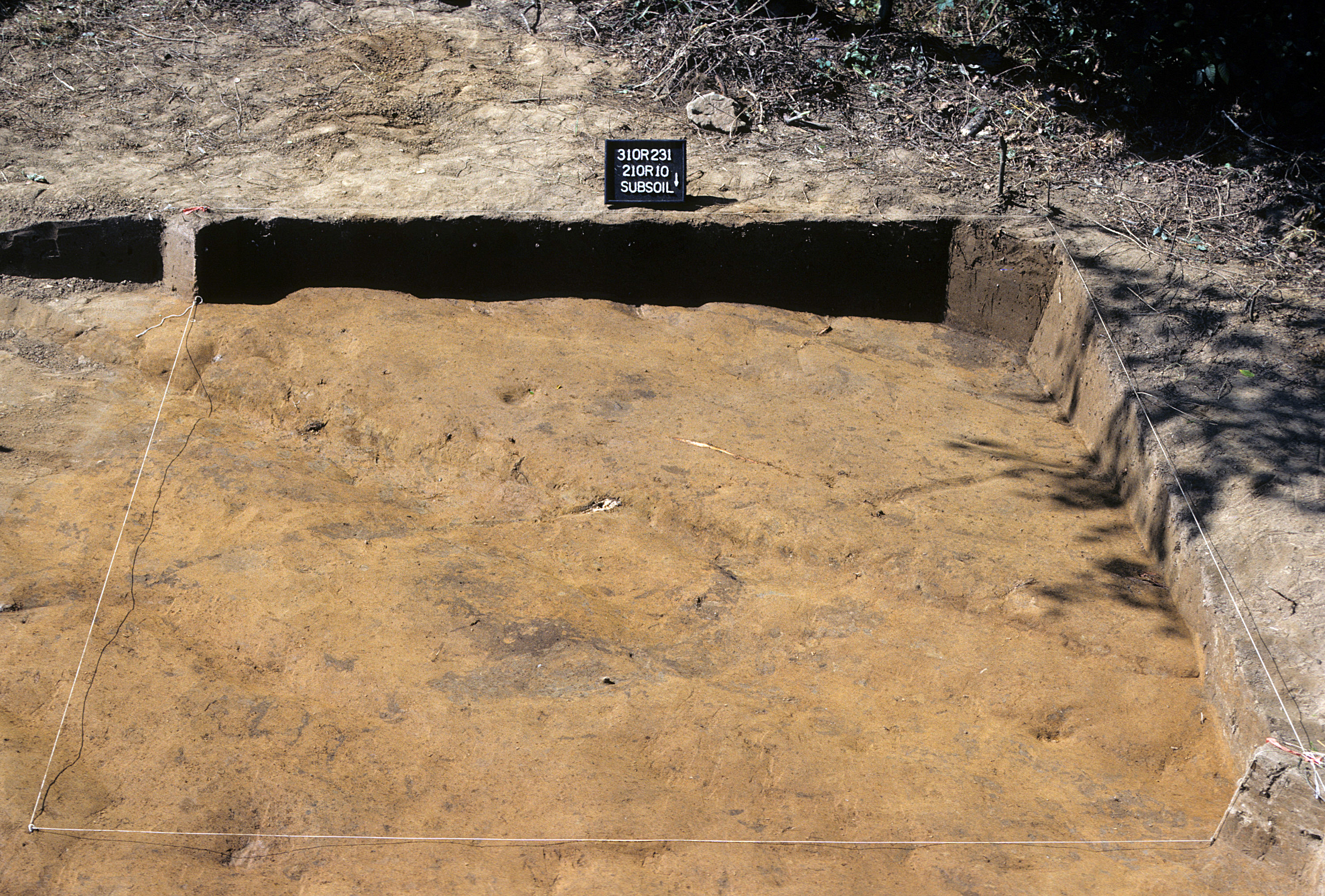Figure 770. Sq. 210R10 at top of subsoil (view to south).