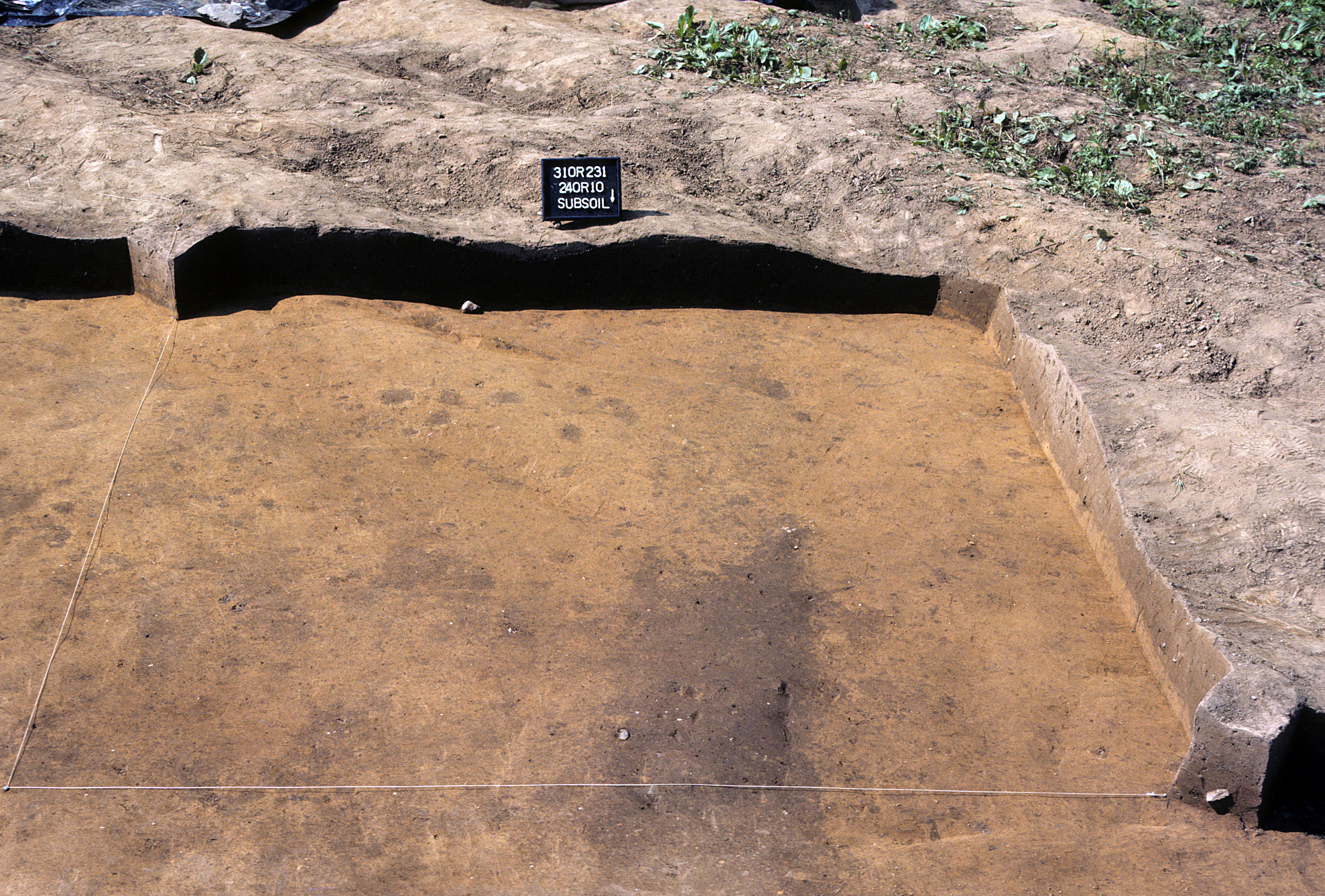 Figure 845. Sq. 240R10 at top of subsoil (view to south).