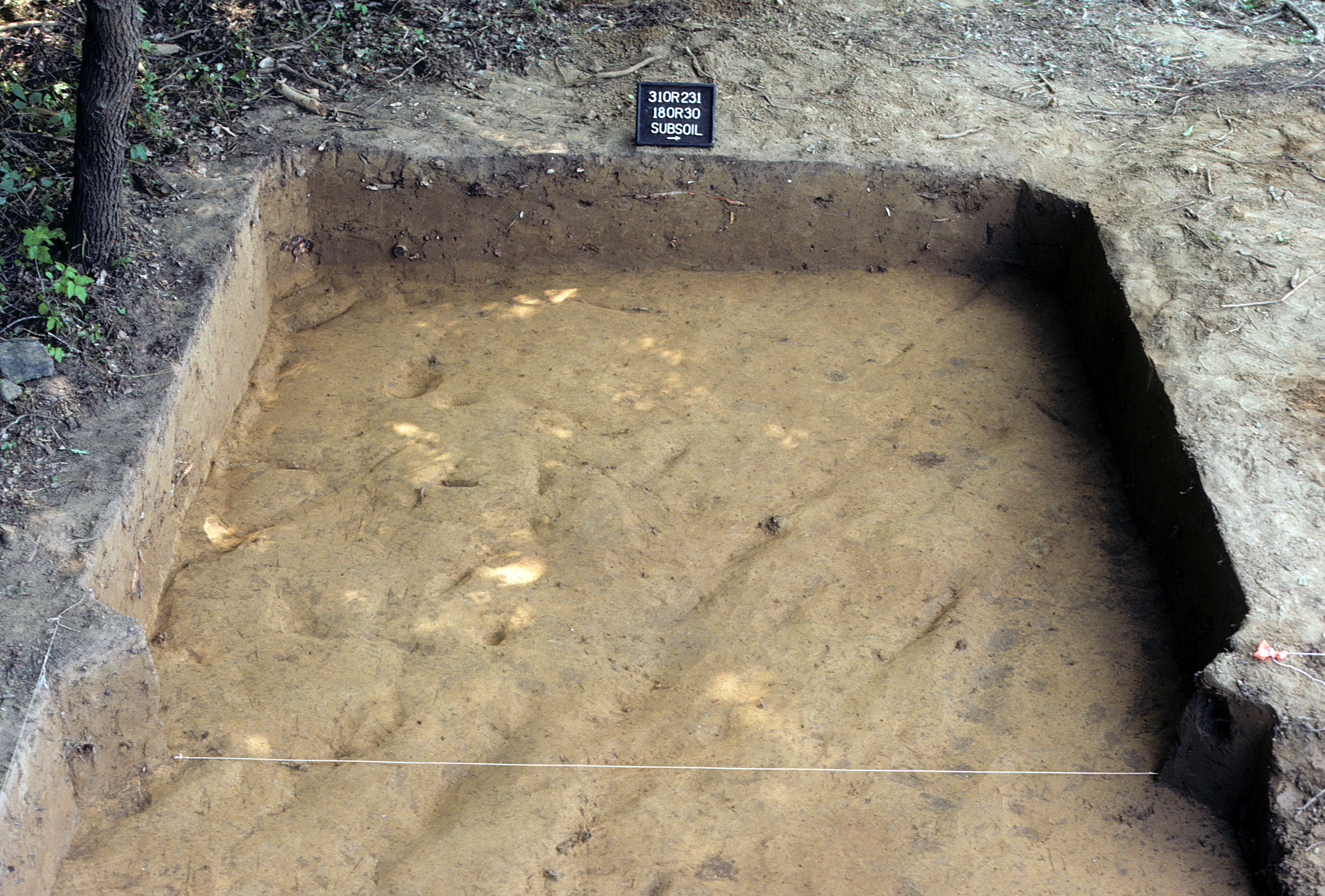 Figure 717. Sq. 180R30 at top of subsoil (view to west).