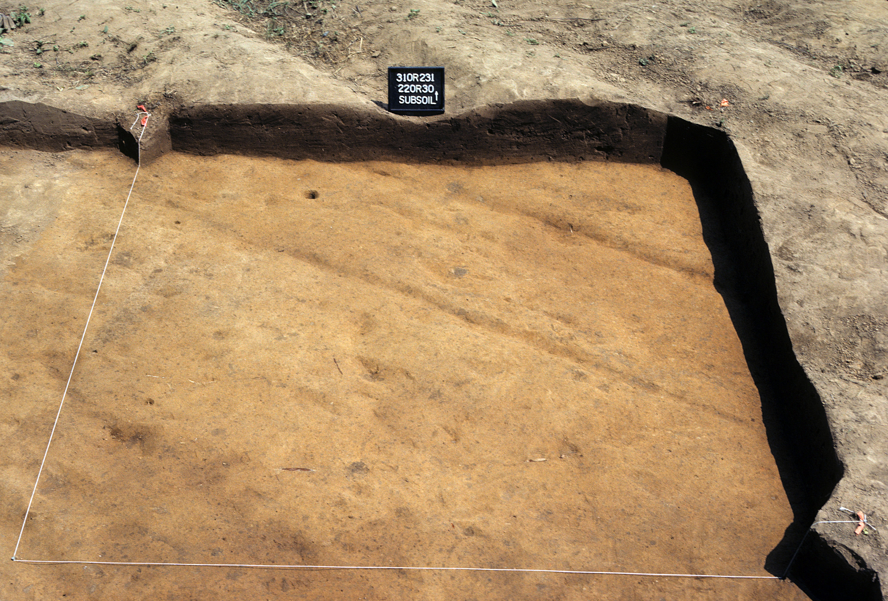 Figure 801. Sq. 220R30 at top of subsoil (view to north).
