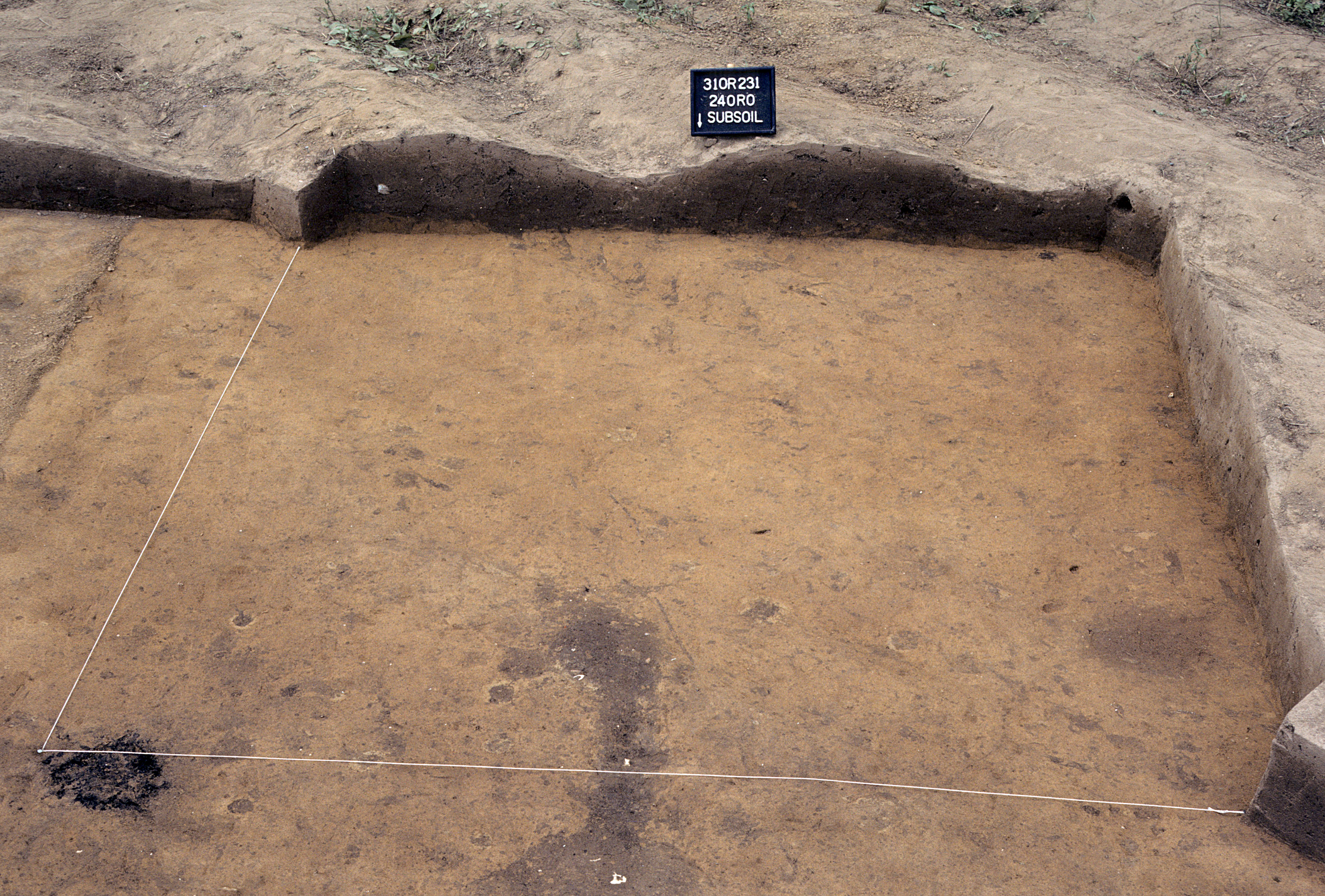 Figure 843. Sq. 240R0 at top of subsoil (view to south).