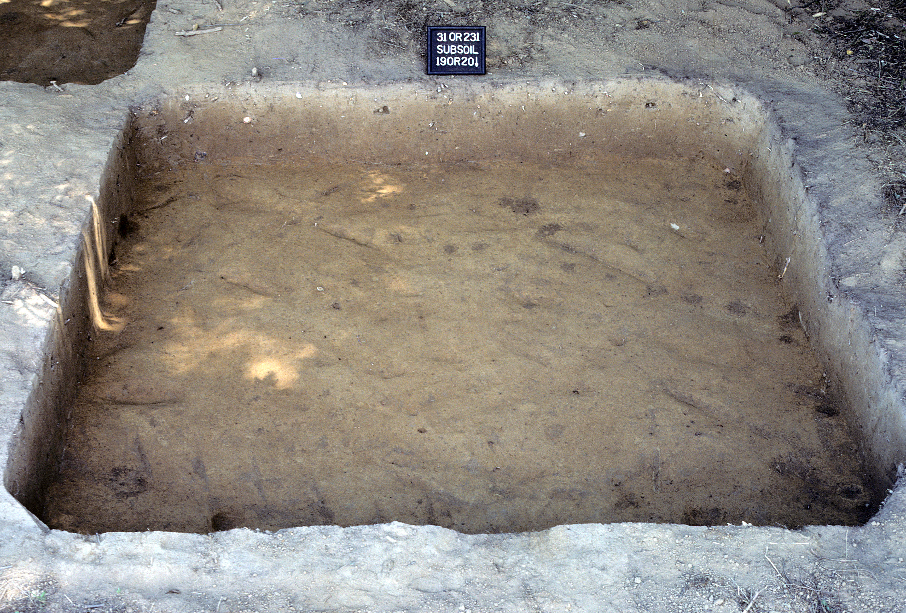 Figure 728. Sq. 190R20 at top of subsoil (view to south).