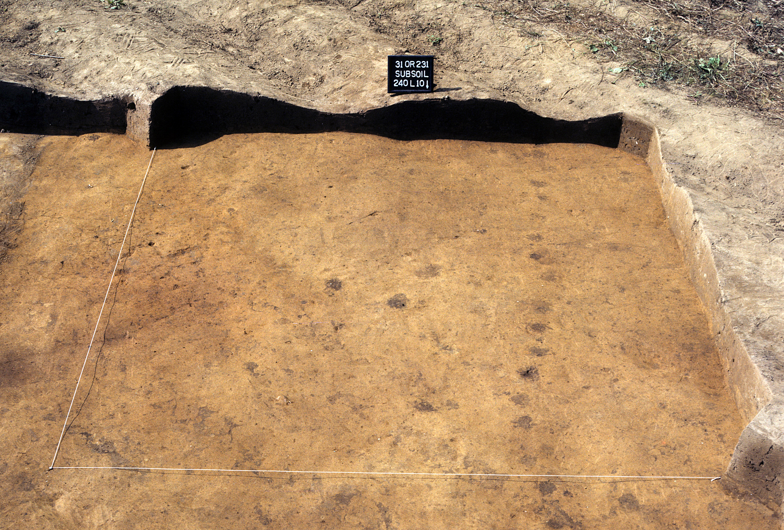 Figure 841. Sq. 240L10 at top of subsoil (view to south).