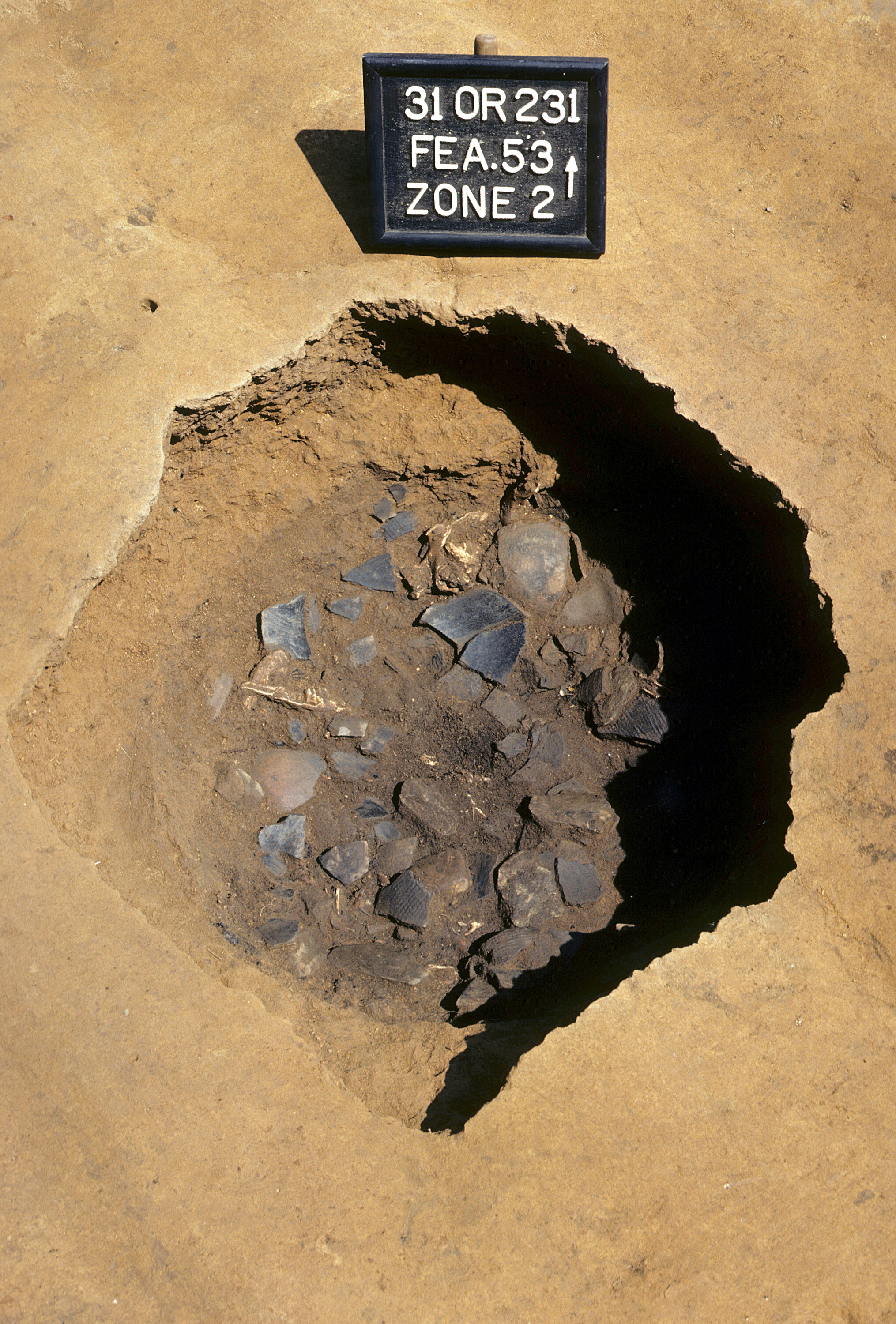 Figure 711. Potsherds and animal bone within Feature 53 fill (view to north).