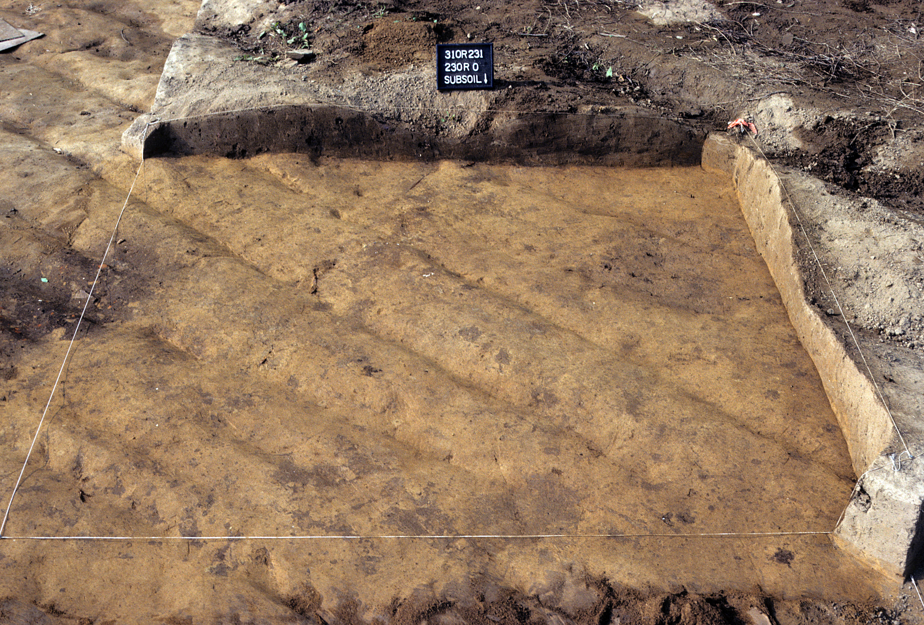 Figure 817. Sq. 230R0 at top of subsoil (view to south).