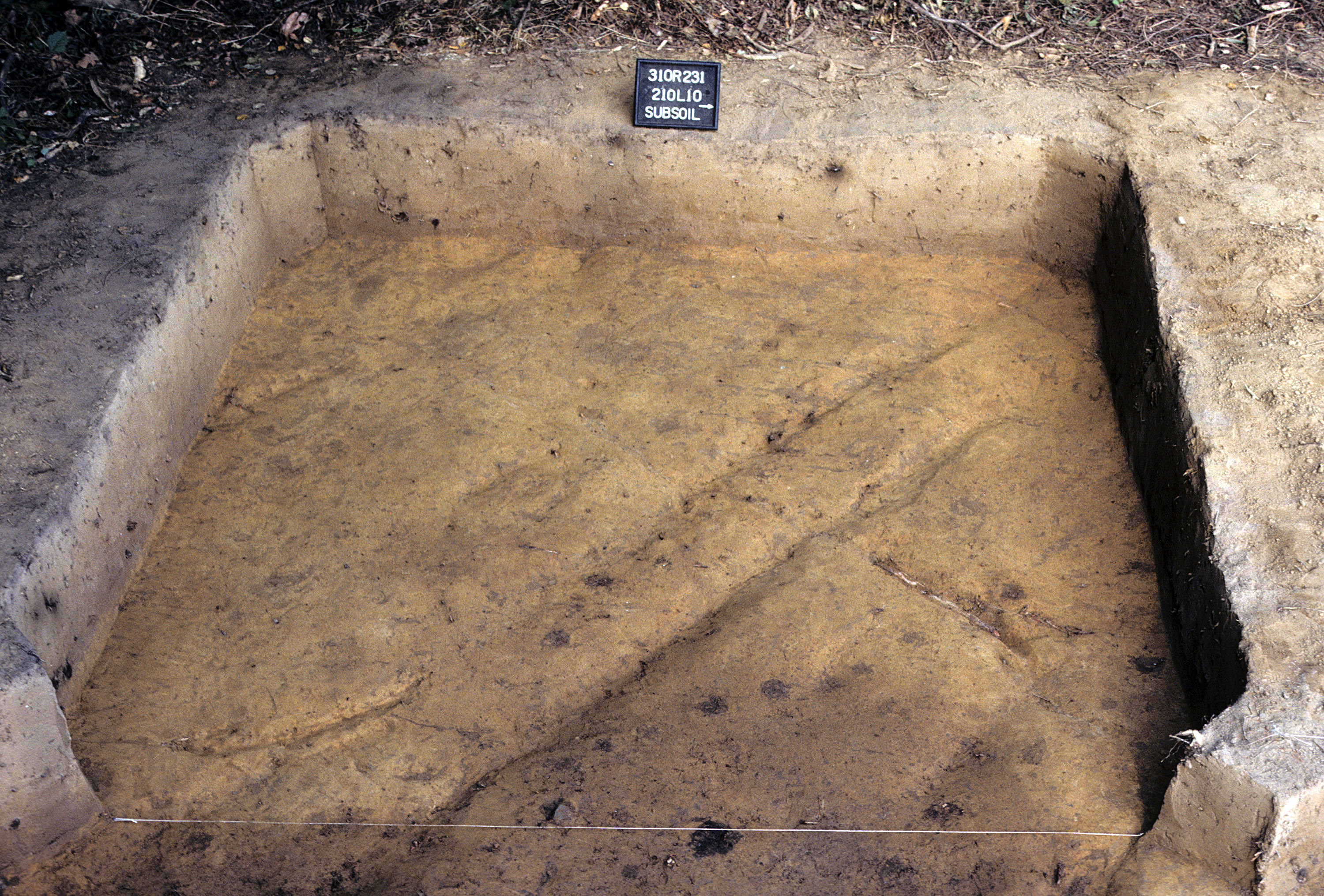 Figure 766. Sq. 210L10 at top of subsoil (view to west).