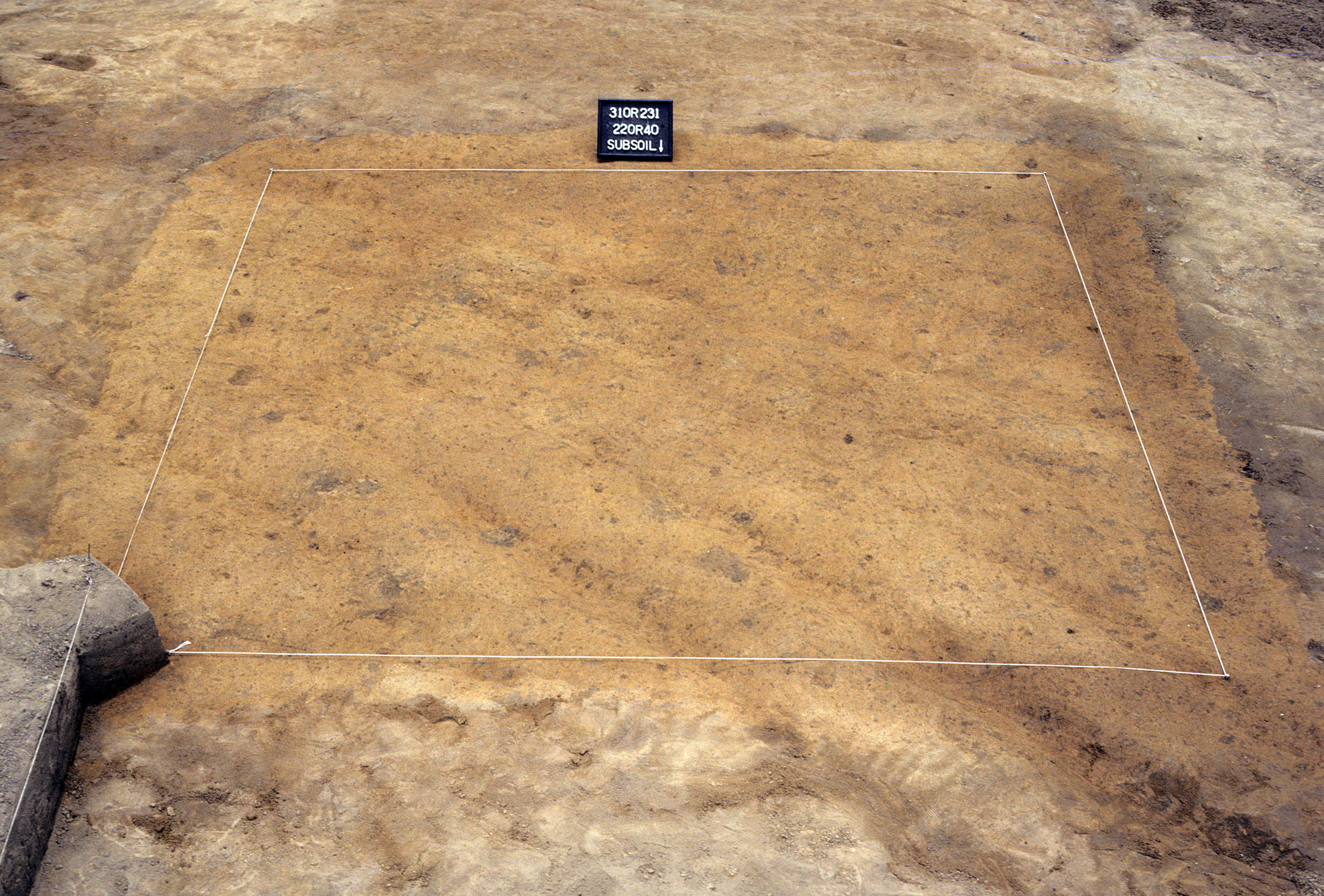 Figure 803. Sq. 220R40 at top of subsoil (view to south).