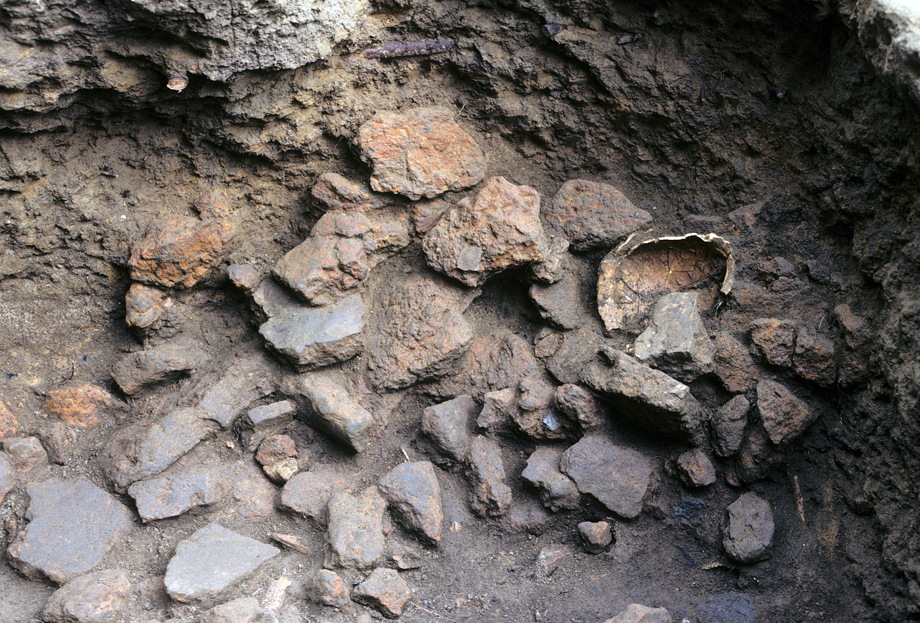 Figure 513. Clay hearth fragments in Feature 59 fill (view to northwest).