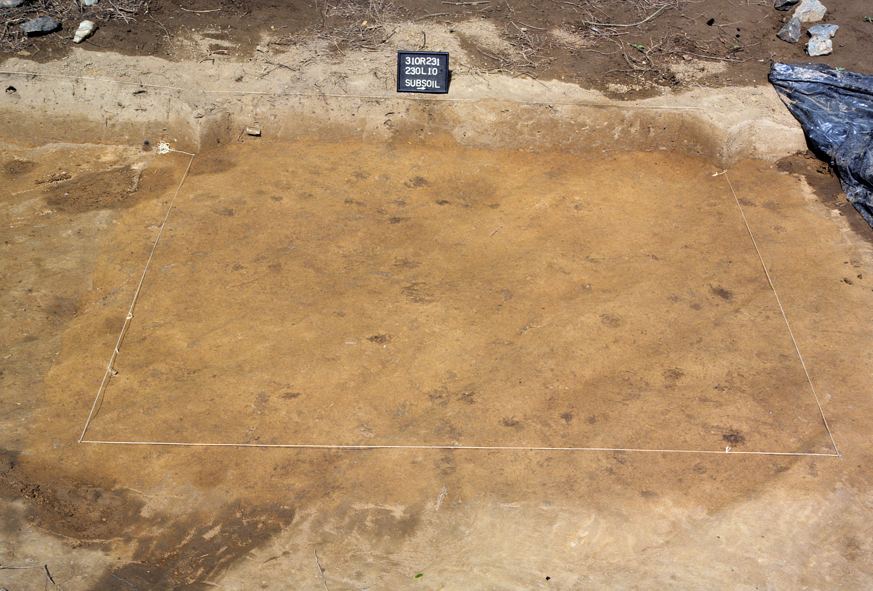 Figure 815. Sq. 230L10 at top of subsoil (view to west).