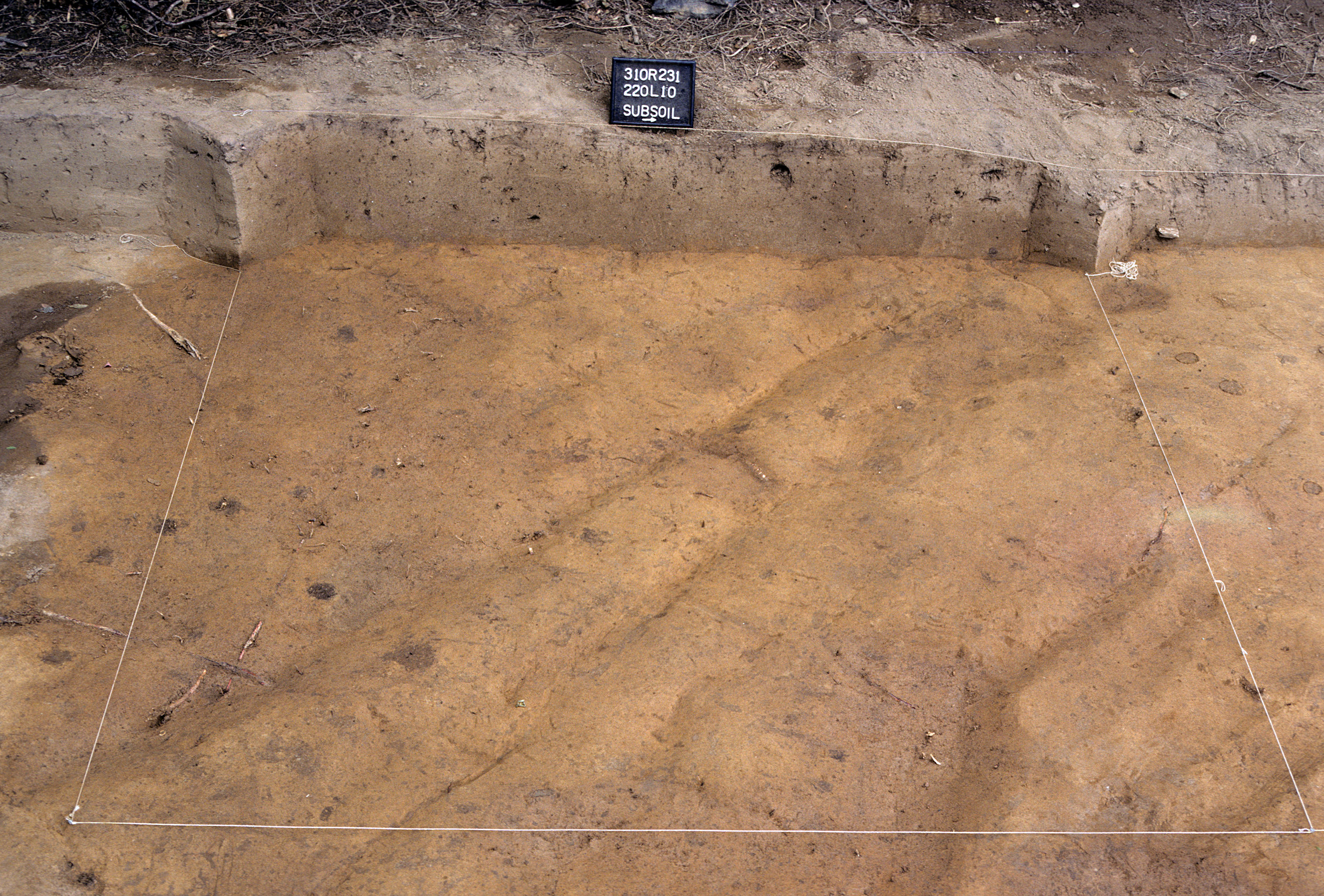Figure 790. Sq. 220L10 at top of subsoil (view to west).